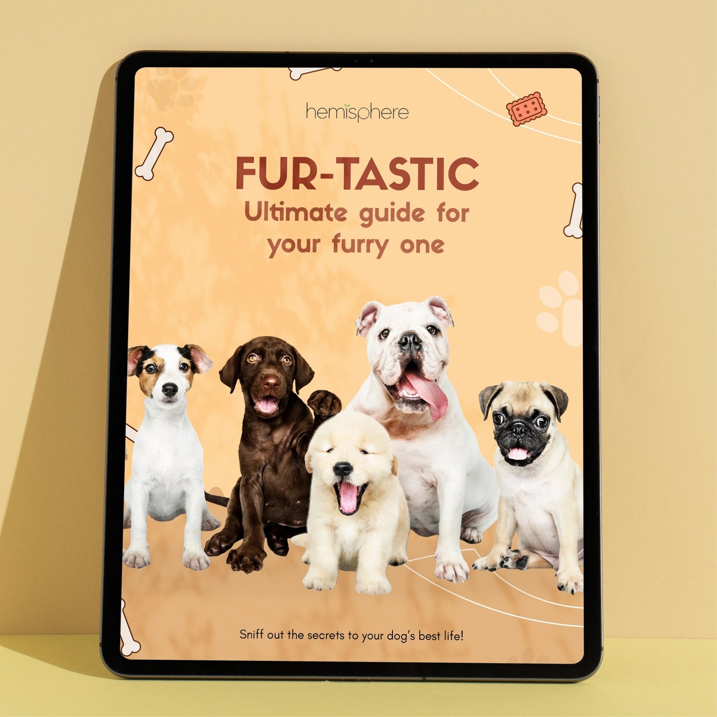 Furtastic - Ultimate Guide for your Furry One Ebook - Hemisphere | Balance Your Life