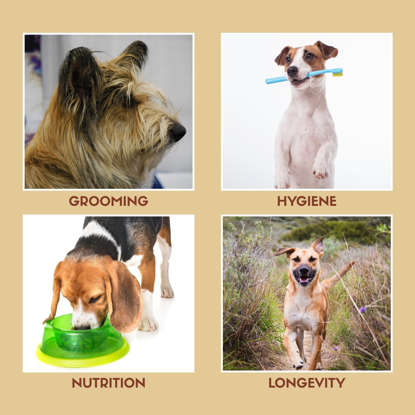 Furtastic - Ultimate Guide for your Furry One Ebook - Hemisphere | Balance Your Life